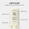 Beauty of Joseon Matte Sun Stick with Mugwort and Camellia (SPF 50+ PA+++) - Lightweight, Oil-Control Sunscreen 18g