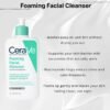 CeraVe Foaming Cleanser For Normal To Oily Skin With Hyaluronic Acid 236ml | 473ml