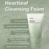 Anua Heartleaf Quercetinol Pore Deep Cleansing Foam 150ml