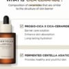 SKIN1004 Madagascar Centella Probio-Cica Intensive Ampoule 100ml