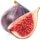 Fig